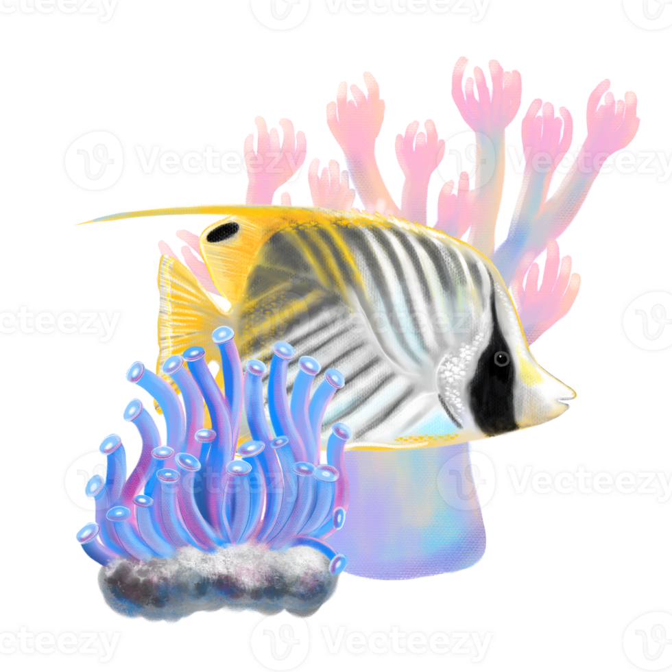 Tropical exotic ocean hand drawn art in soft pastel style with bright Threadfin butterfly fish illustration, corals and seaweeds. png