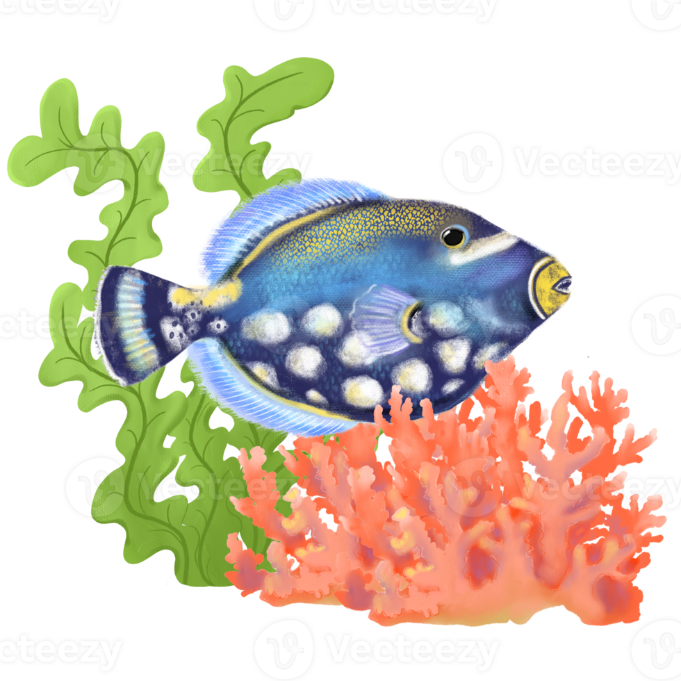 Tropical exotic ocean hand drawn art in soft pastel style with bright clown tiger fish illustration, corals and seaweeds. png