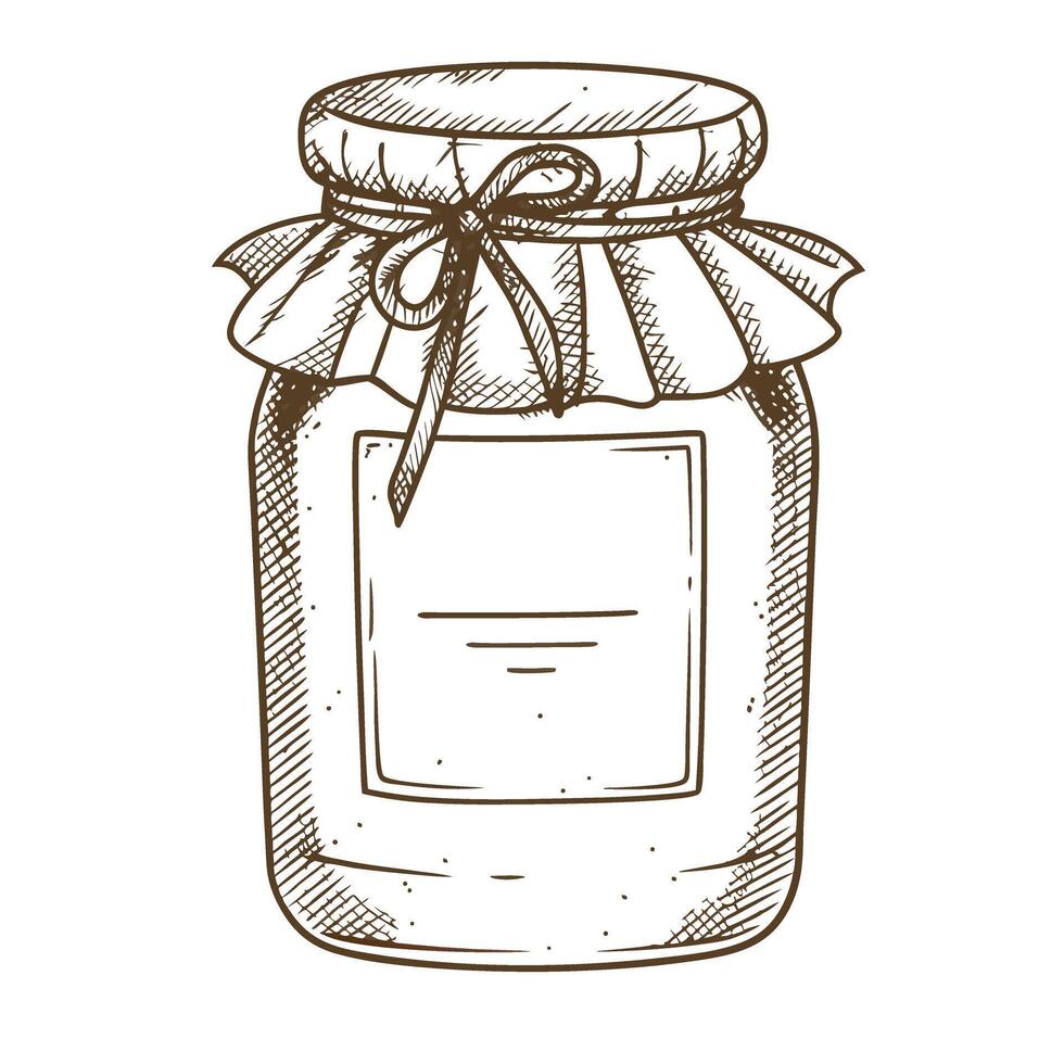 Glass jar with lid and ribbon vintage hand drawn illustration, preserved food, empty container on white background vector