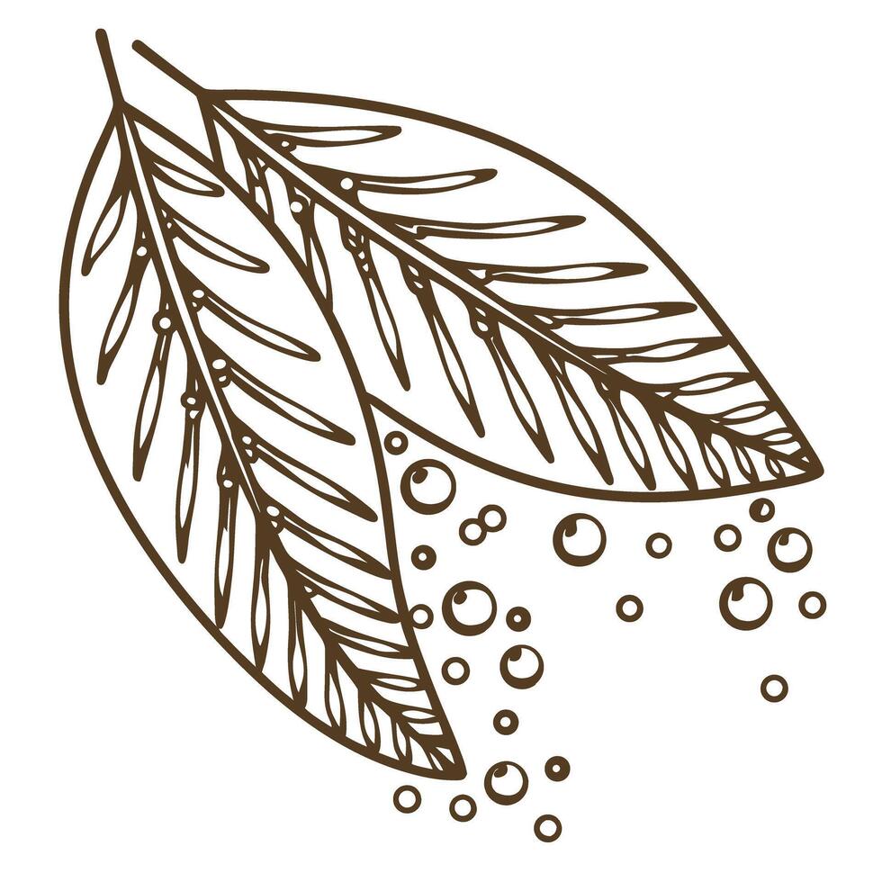 Abstract line art of two overlapping leaves with bubbles simple botanical illustration, nature concept, organic design vector