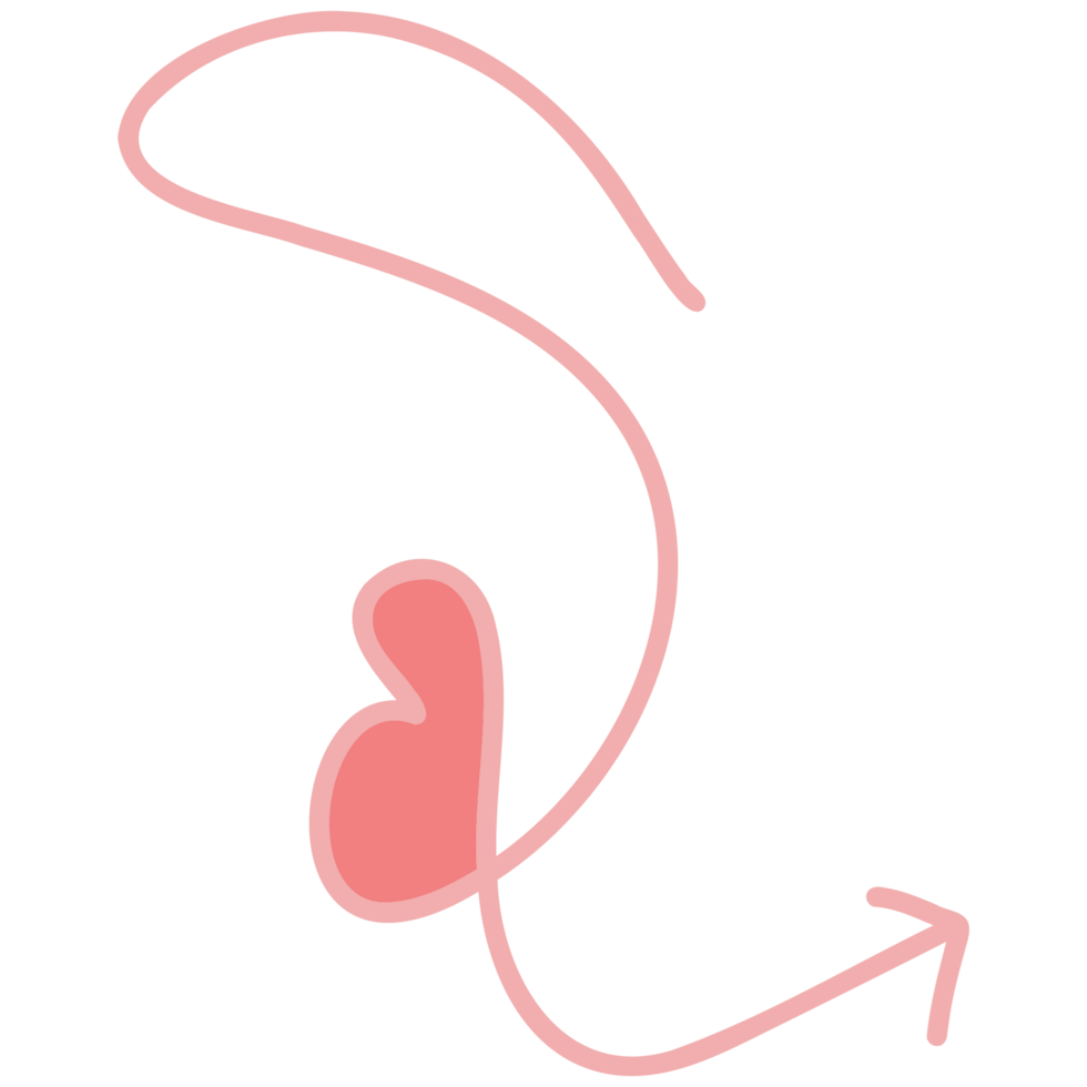 Curve arrow with love png