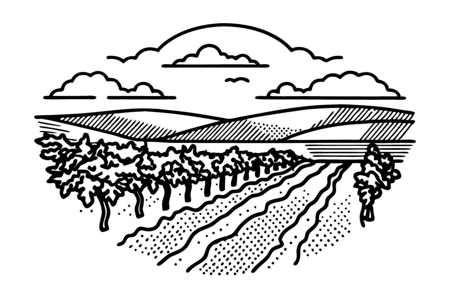 Vineyard landscape illustration hand drawn grape fields, rolling hills, and cloudy sky rural agriculture scene vector