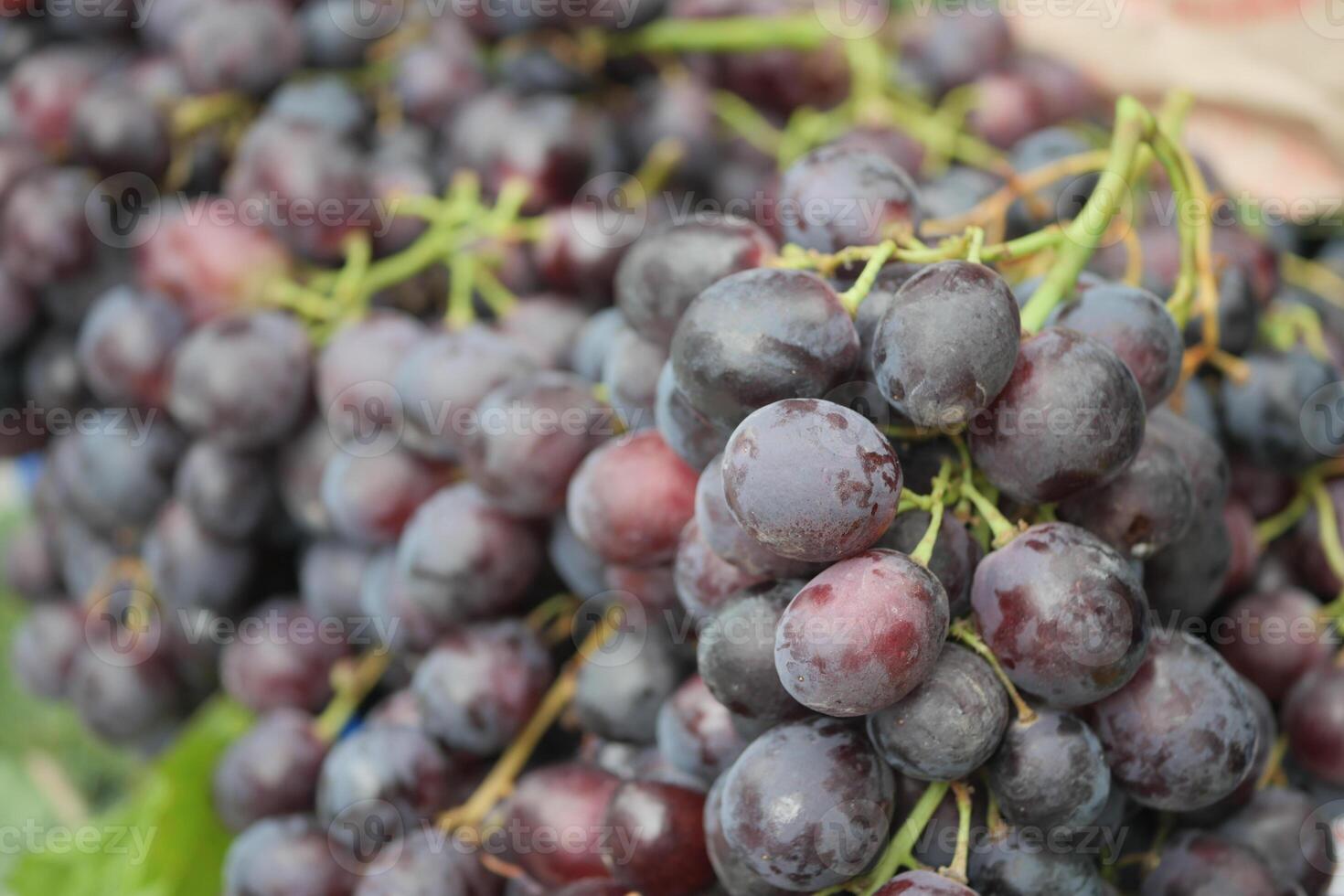 Freshly harvested grapes at a local market in autumn photo