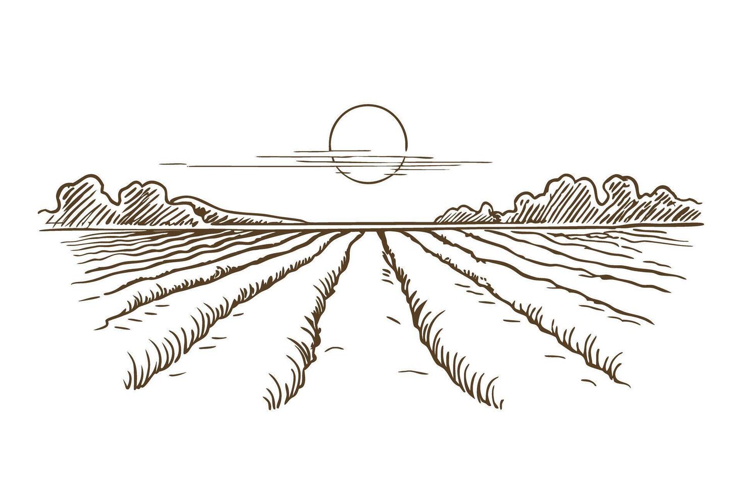Sunrise over rural agricultural field with furrowed rows and distant mountain horizon, hand drawn sketch illustration vector