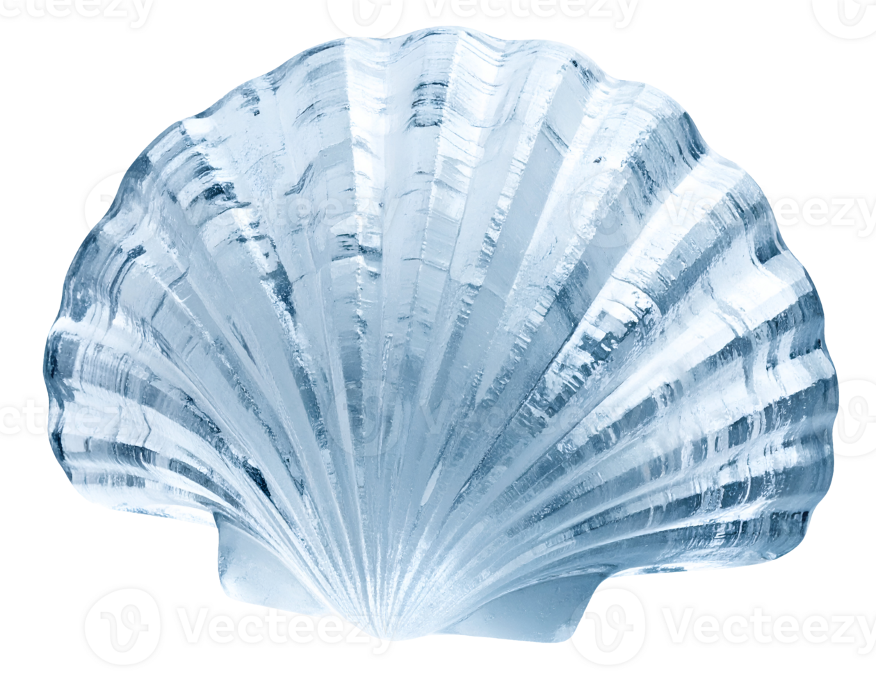seashell-shaped ice block with realistic texture and crystal transparency, abstract frozen object for culinary or design use, on isolated background png