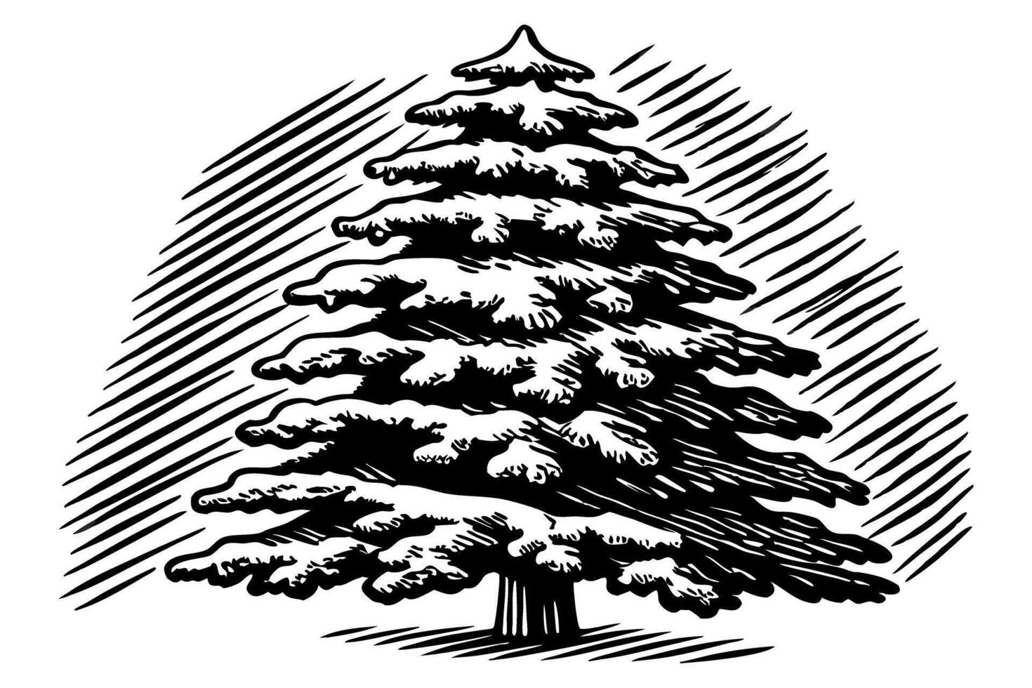 Hand drawn evergreen tree illustration in vintage detailed isolated sketch of pine fir with foliage, nature concept vector