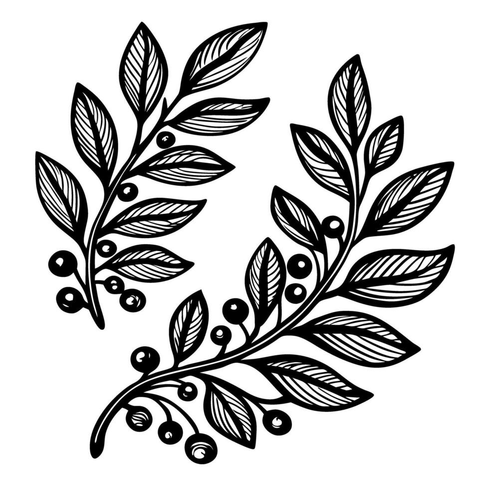 Floral botanical line art with leafy branches and berries hand drawn elegant nature sketch, black and white illustration vector