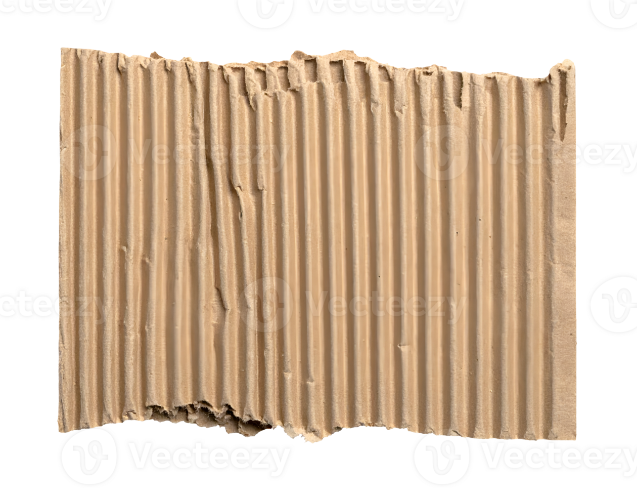 realistic vertically ridged torn corrugated cardboard sheet with rugged edges and natural brown texture, on isolated background png