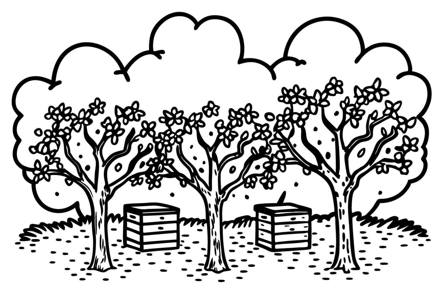 Blossoming fruit trees and beehives in orchard pollination, spring growth, honey production, natural environment vector