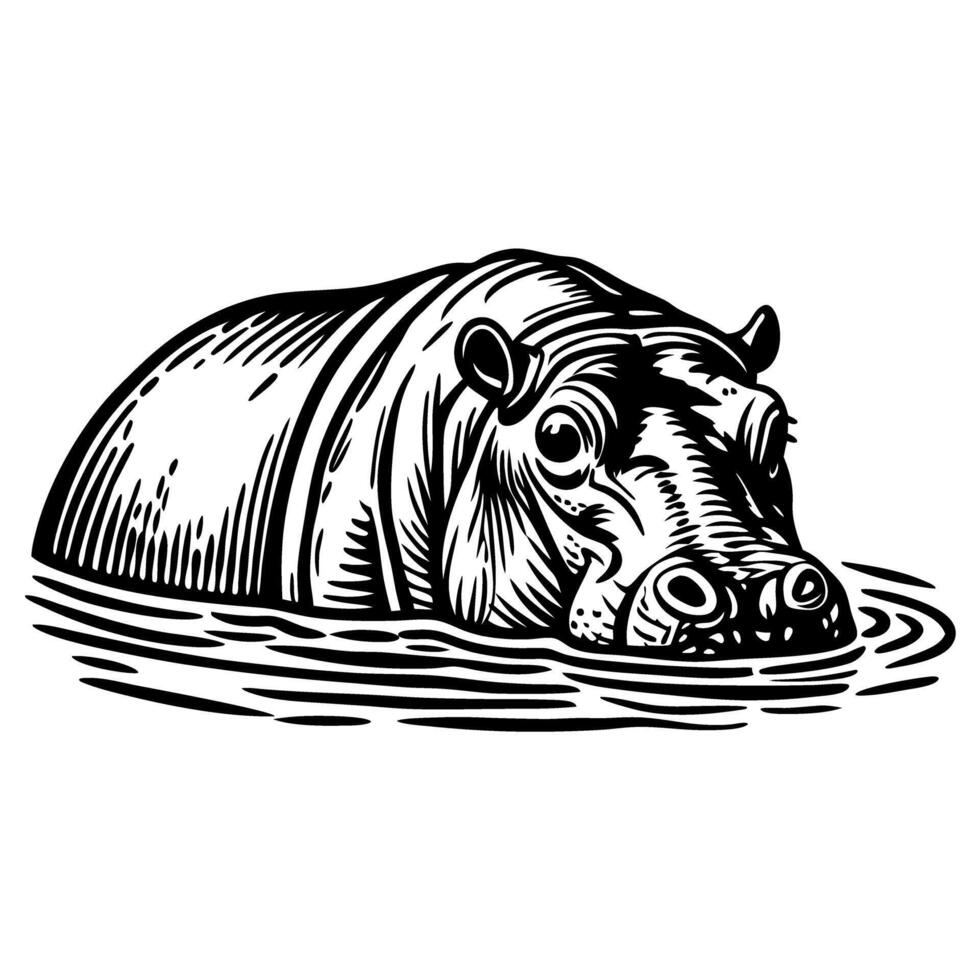 Hippopotamus emerging from water black and white animal illustration showing detailed aquatic mammal head vector