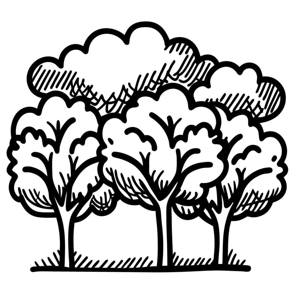 Line art illustration of a forest with multiple trees and leafy canopies hand drawn nature woodlands landscape vector
