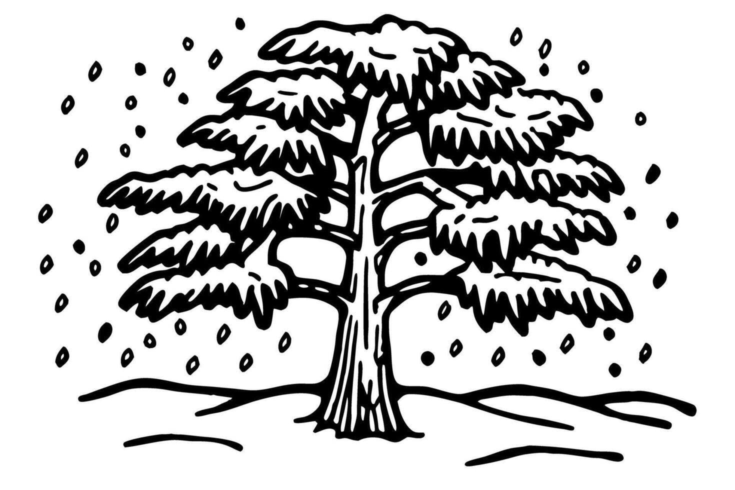 Majestic cedar tree illustration with wide branches and falling snowflakes, black and white hand drawn nature art vector