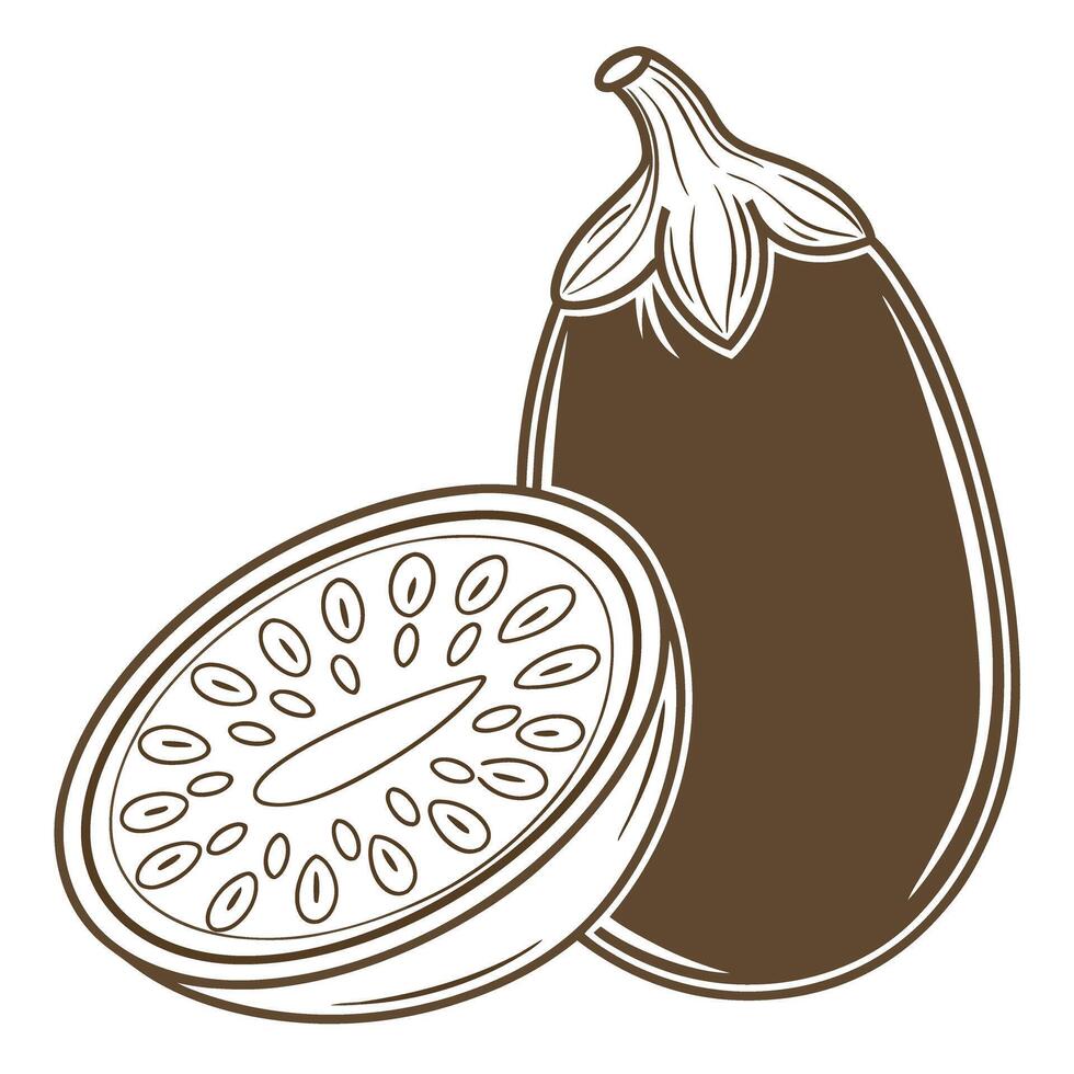 Eggplant illustration with sliced half hand drawn vegetable graphic, fresh aubergine isolated on white background vector