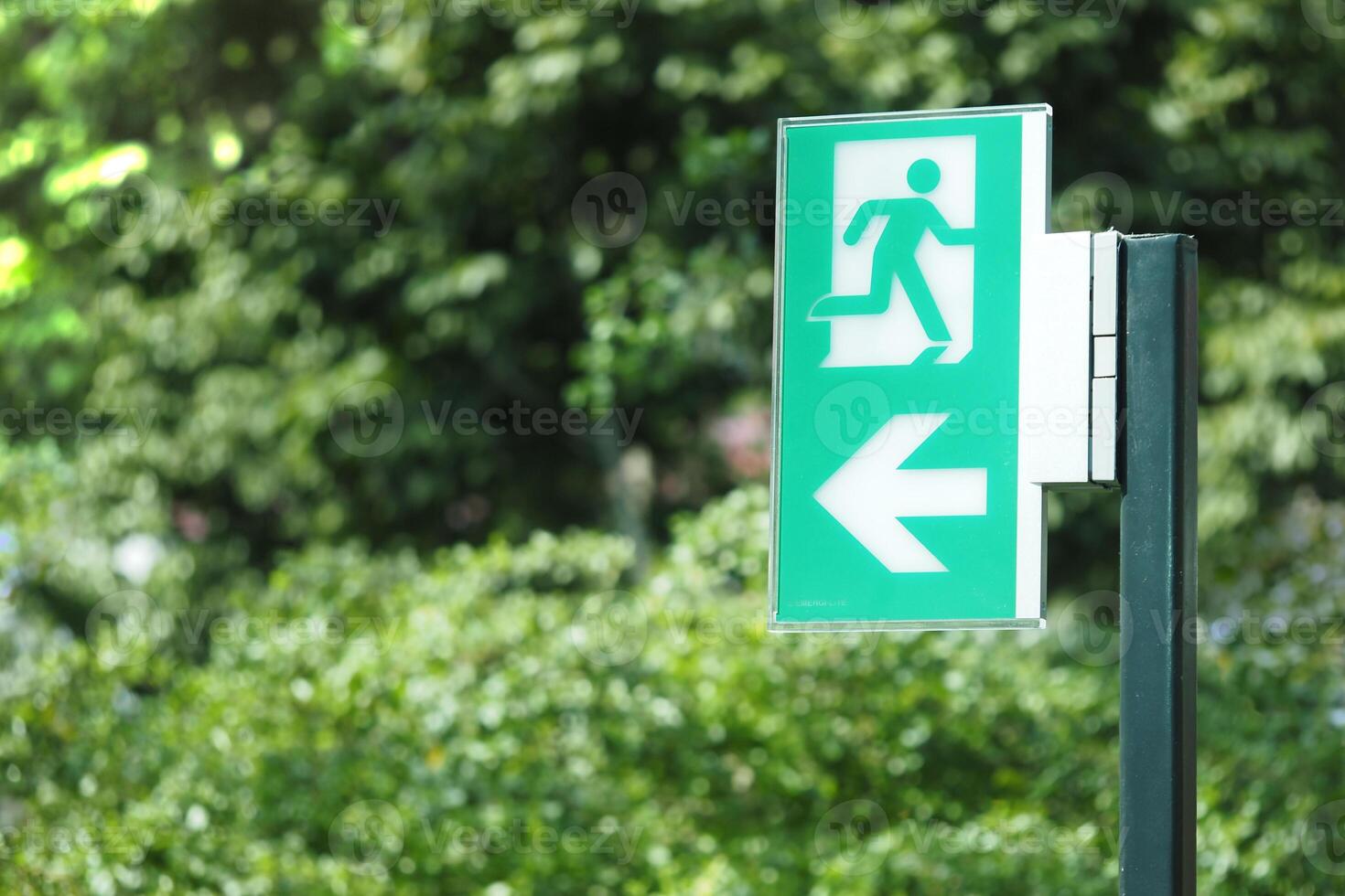 Green exit sign guiding the way in a lush environment photo