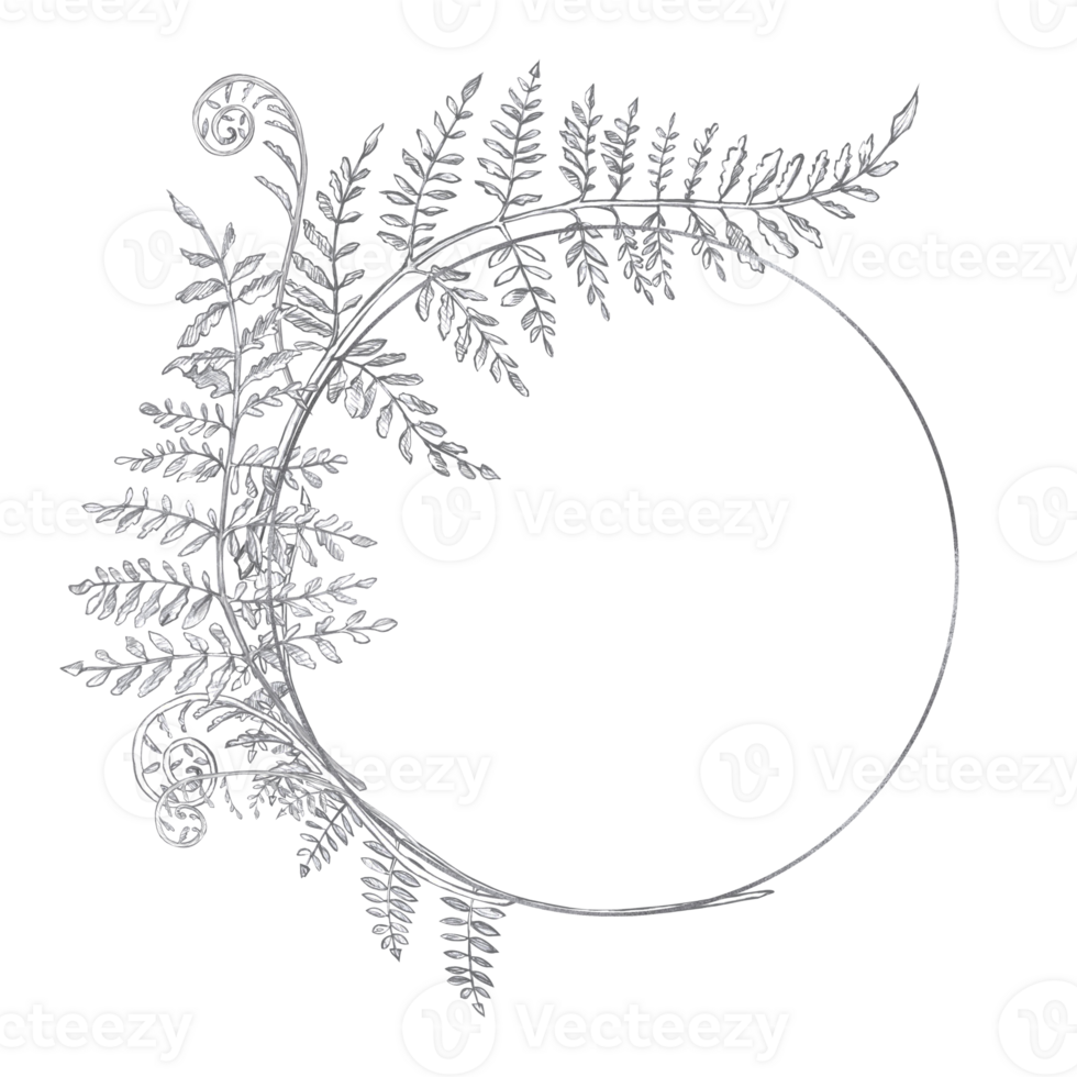 Half wreath with fern leaves. Isolated pencil illustration in a realistic style for the design of postcards, posters, printing on fabric and clothing, flower shop design png