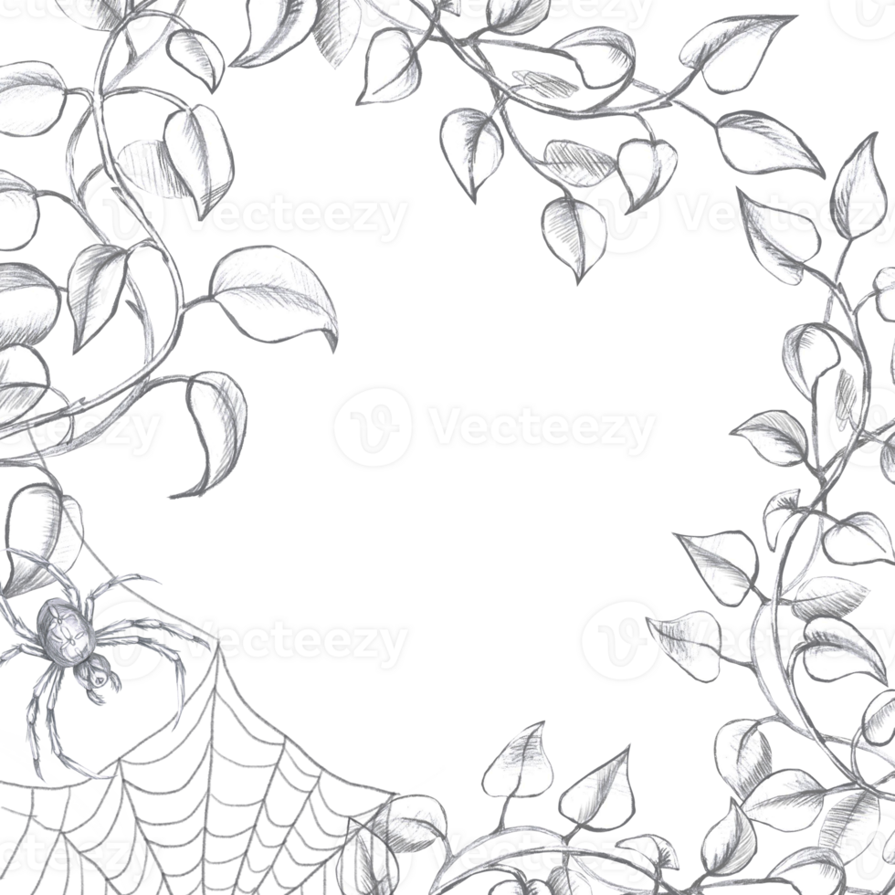 Square frame with curved branches, spider and web. Isolated pencil illustration in realistic style for postcards, posters, printing on fabric and clothes, flower shop design. png