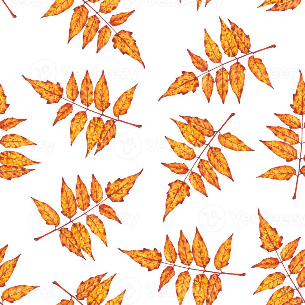 Seamless watercolor pattern of orange and yellow autumn leaves. Perfect for seasonal wrapping paper, textile prints, stationery, or fall-themed backgrounds. png