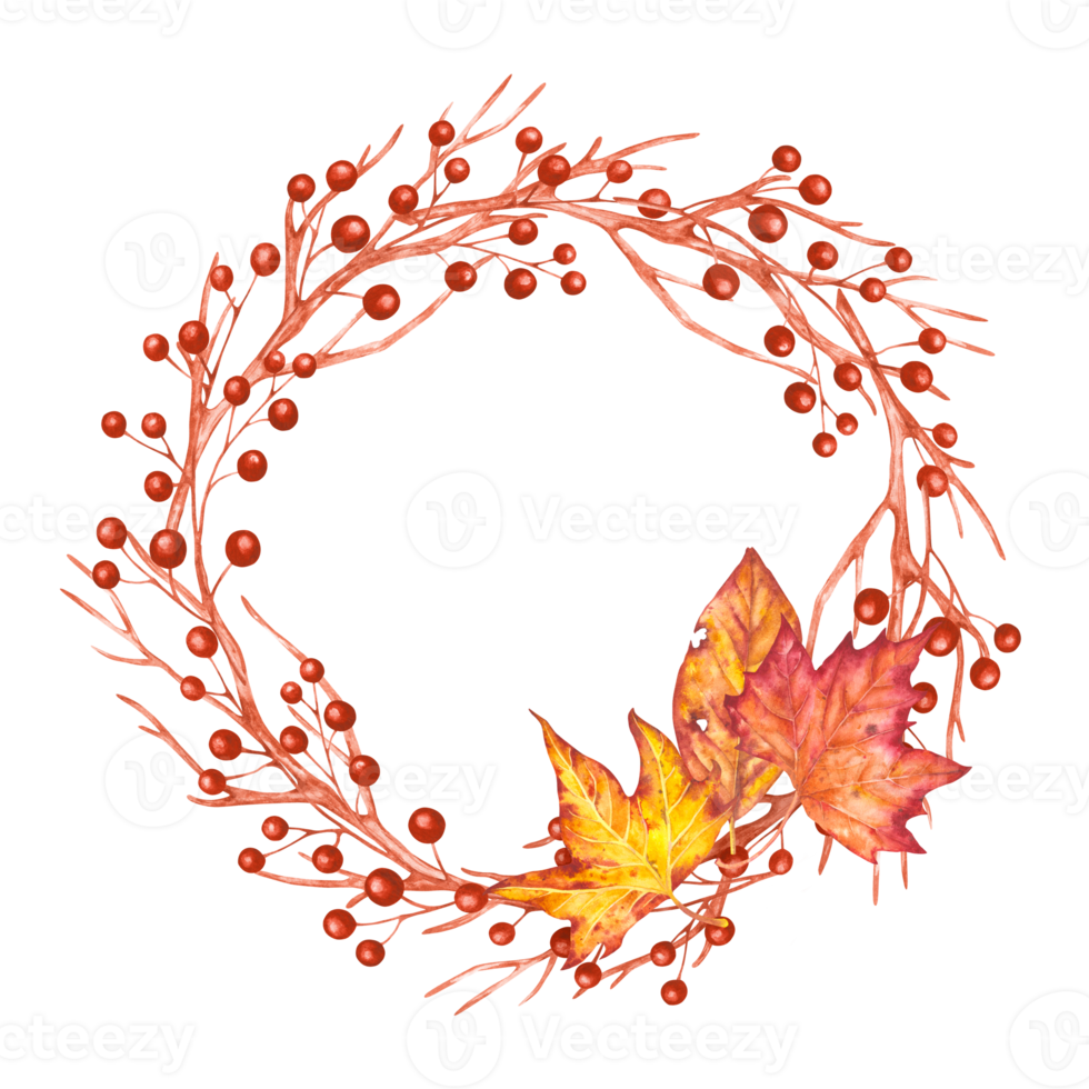 Watercolor hand drawn illustration of a wreath of branches and autumn leaves. Wreath of watercolor branches with berries and autumn leaves. png
