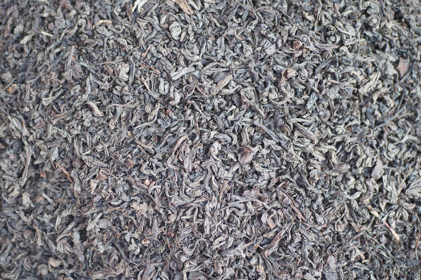 Dried tea leaves in bulk in natural lighting photo