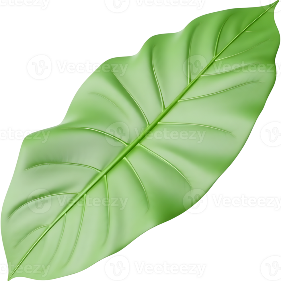 Lush Green Leaf Isolated png