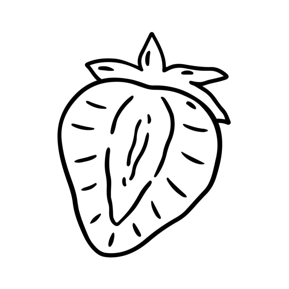Sliced strawberries isolated on white background. hand-drawn illustration in outline style. Perfect for cards, decorations, logo, menu, recipes, various designs. vector