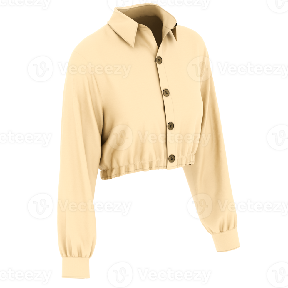 Render cropped buttoned blouse with transparent background png