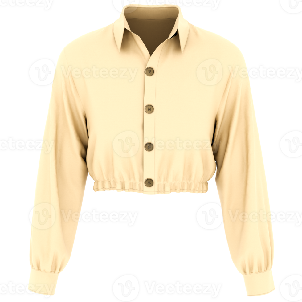3d render cropped buttoned blouse with transparent background png