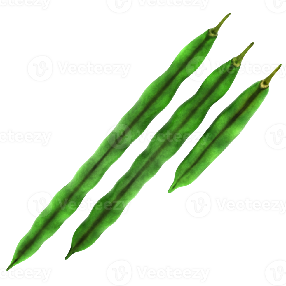 3d render green vegetable pods with transparent background png