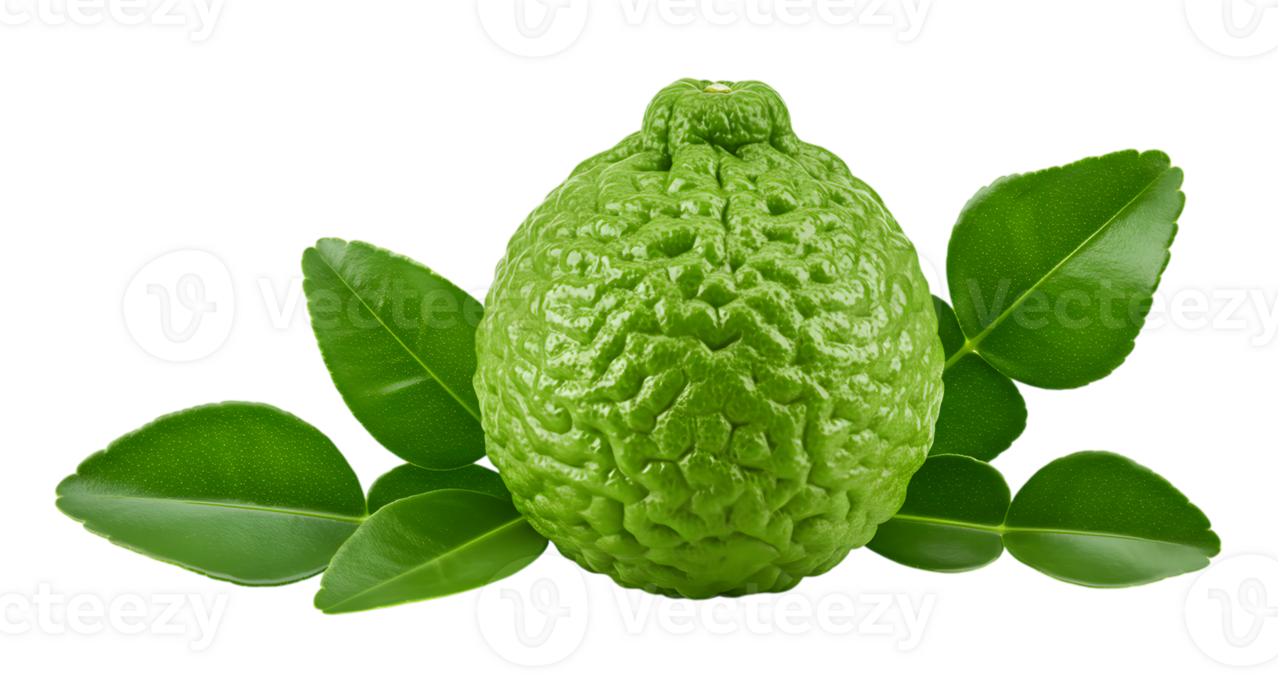 Captivating Close-Up of Fresh Bergamot Fruit with Leaves on Transparent Background png