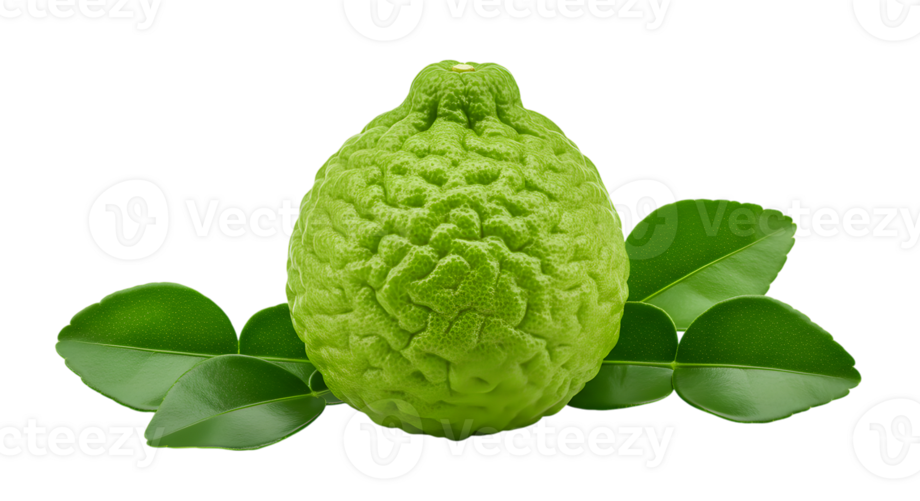Fresh Bergamot Fruit Still Life with Leaves Isolated on Transparent png