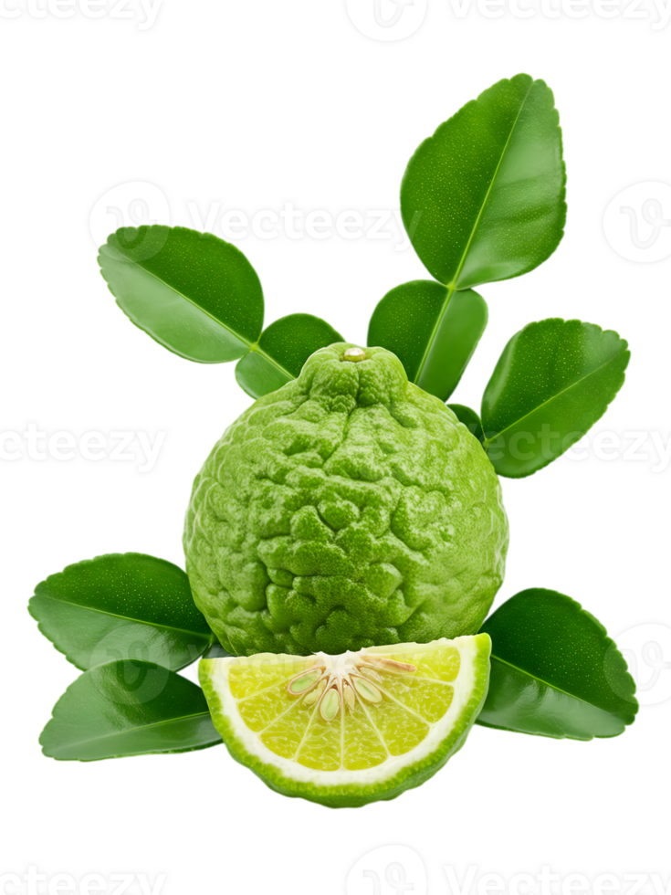 Fresh Bergamot Fruit and Leaves Still Life on a Transparent Background png