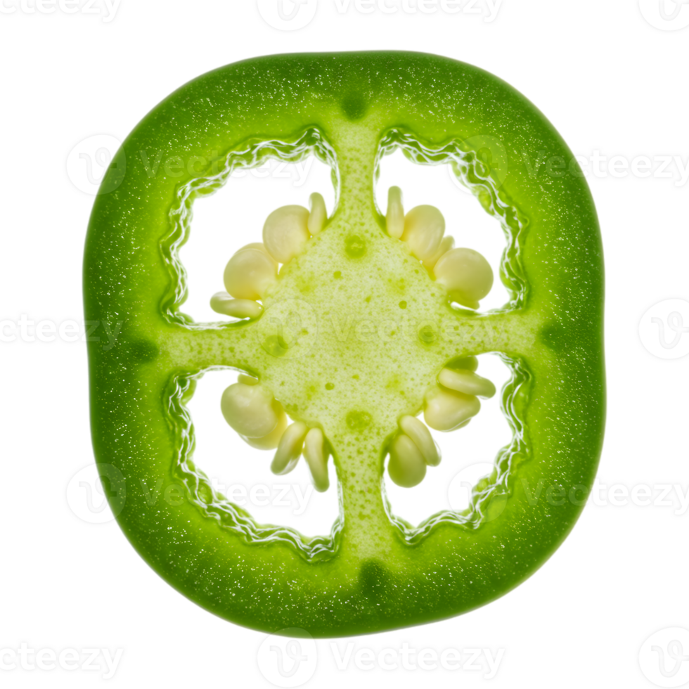 Macro Slice of Jalapeno Pepper with Seeds on Transparent Background png