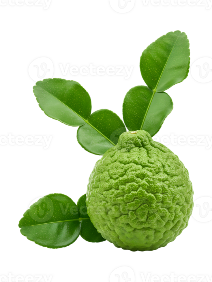 Vibrant Kaffir Lime with Lush Green Leaves on Transparent Backdrop png