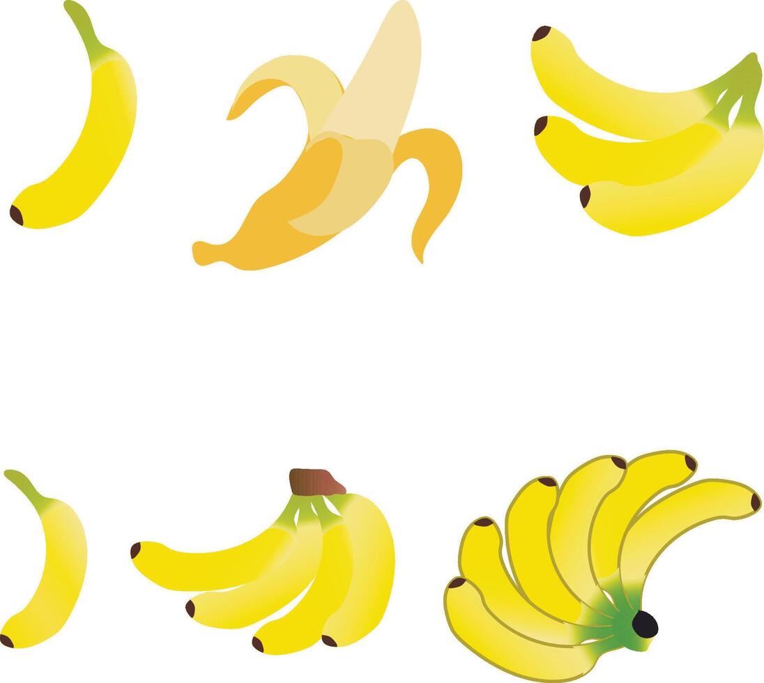 Collection of Ripe Bananas Fres vector