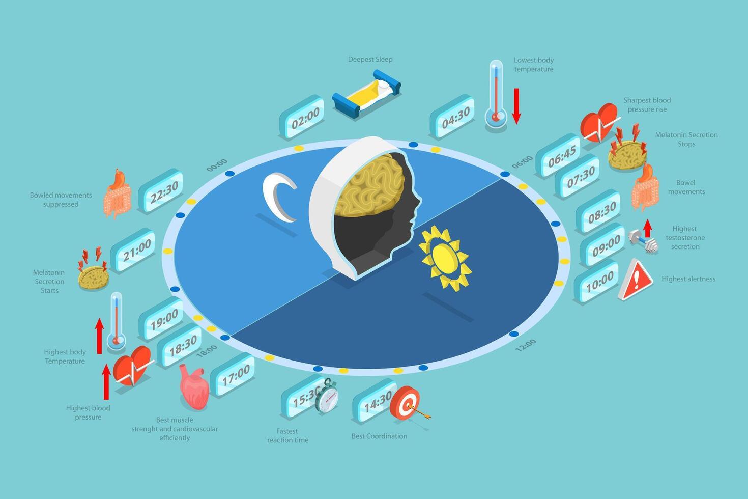 3D Isometric Flat Conceptual Illustration of Circadiam Rhythm, Natural Cycle for Healthy Sleep and Routine vector