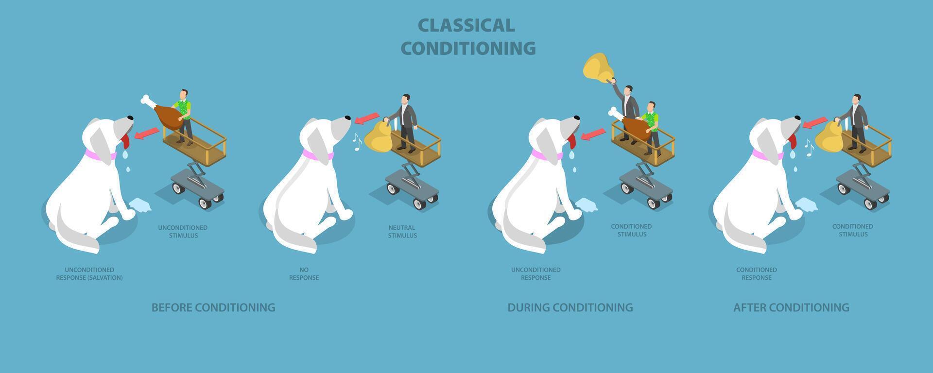 3D Isometric Flat Conceptual Illustration of Classical Conditioning, Pavlovian Respondent Learn Scheme vector