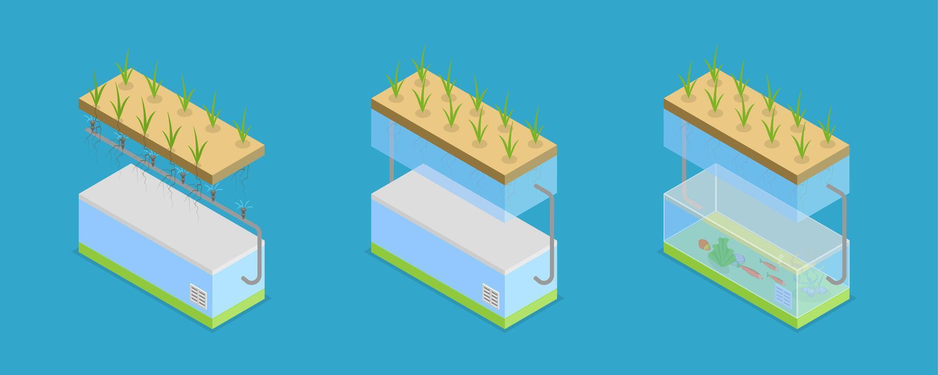 3D Isometric Flat Conceptual Illustration of Growing Systems, Greenhouse Agriculture Methods vector