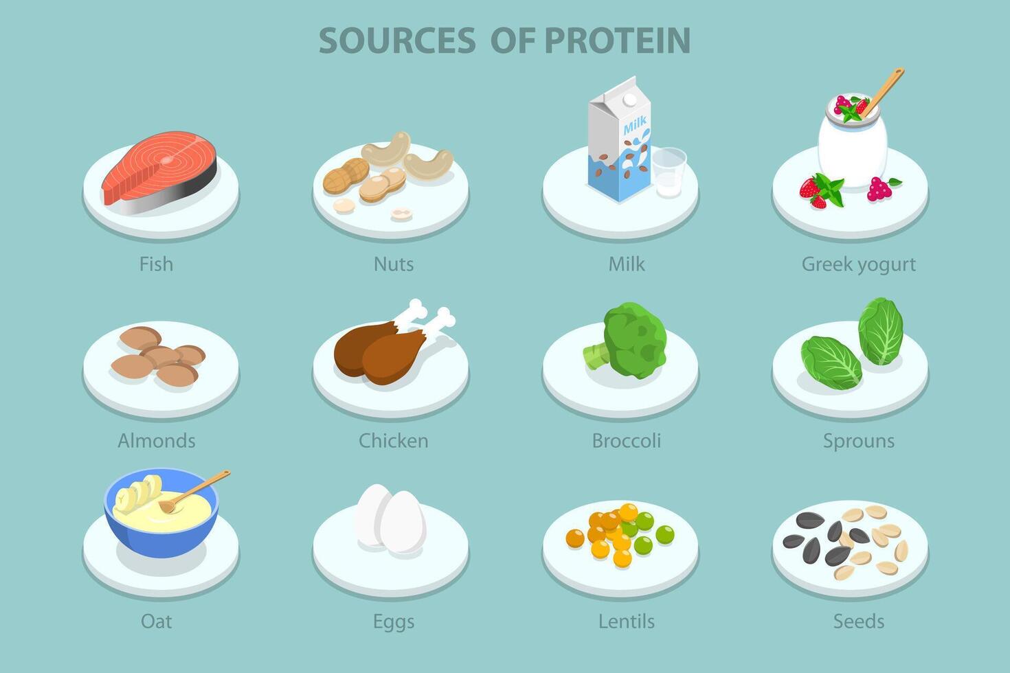 3D Isometric Flat Conceptual Illustration of Sources Of Protein, Healthy Food Guide vector
