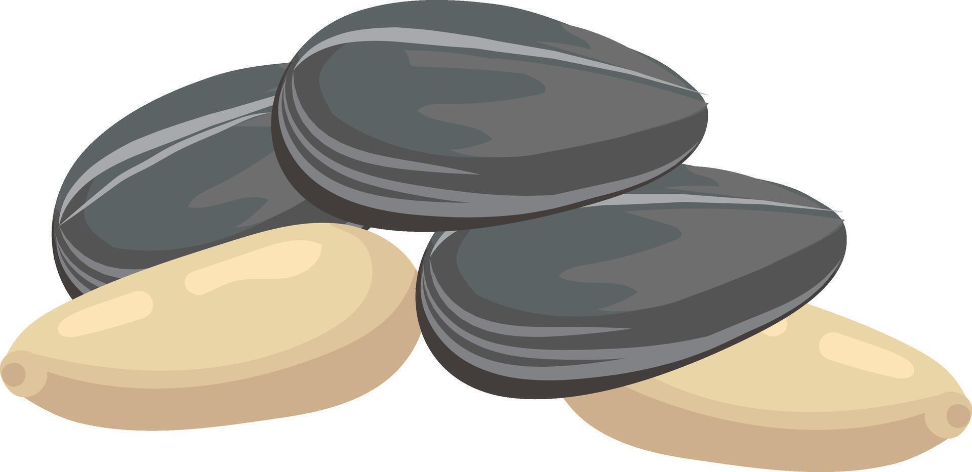 Three sunflower seeds and two pine nuts are forming a small pile, isolated on a white background, creating a simple yet visually appealing arrangement vector