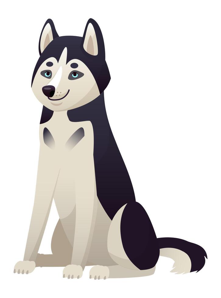 Cartoon husky dog with striking blue eyes and a beautiful black and white fur coat, sitting attentively and gazing forward against a clean white background vector