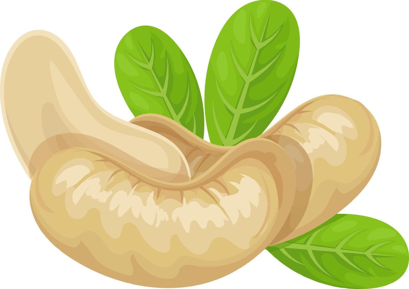 Cashew nuts with green leaves represent a healthy and organic food choice, ideal for vegan or vegetarian diets and promoting a natural lifestyle vector