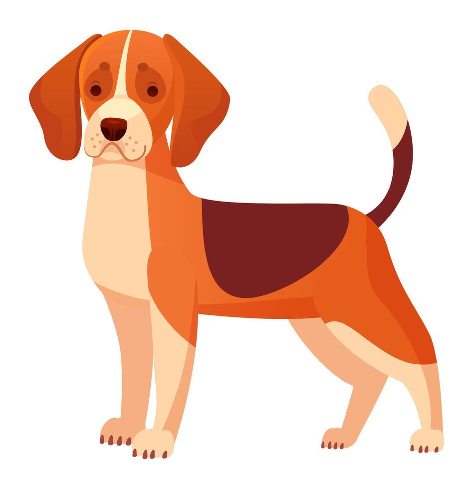 Adorable beagle dog standing on four paws with its tail up, showcasing its characteristic tri color coat and gentle expression, a perfect representation of this friendly and playful breed vector