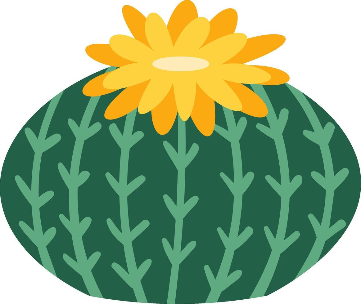 Round green parodia cactus with vertical stripes and thorns topped with a large yellow flower with long petals creating a beautiful contrast vector