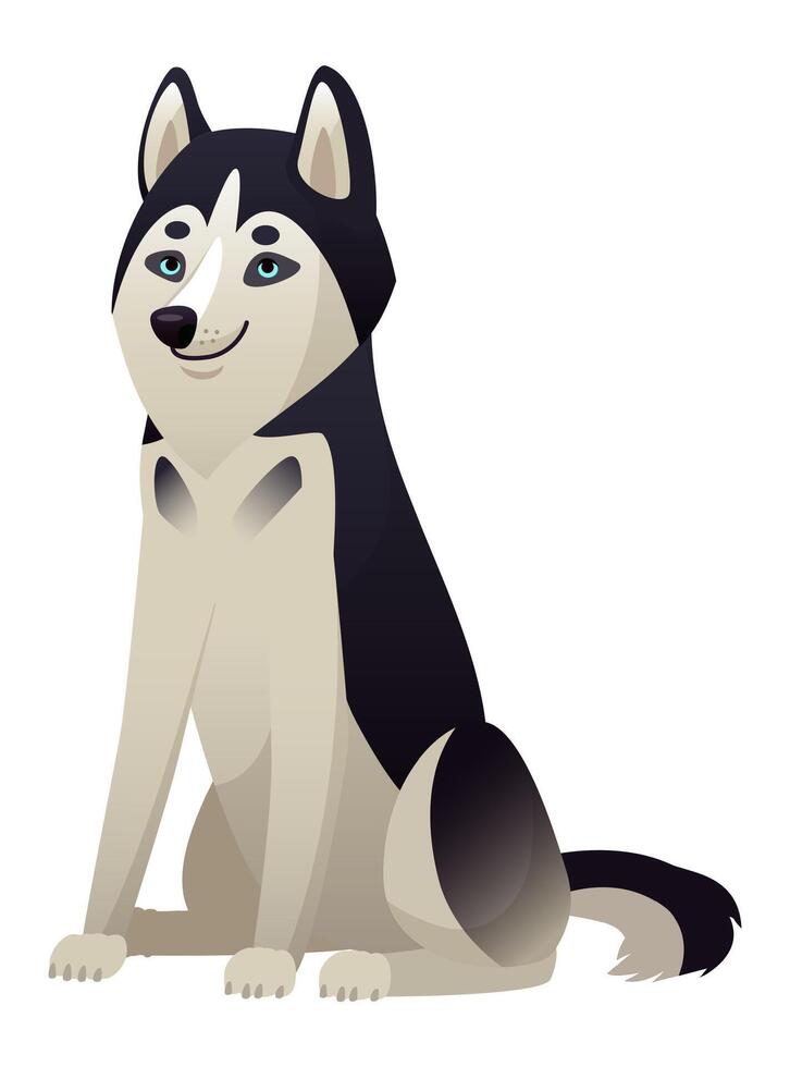 Cartoon illustration featuring a stunning husky dog breed, sitting gracefully and gazing with captivating blue eyes against a clean white background, radiating charm and playfulness vector
