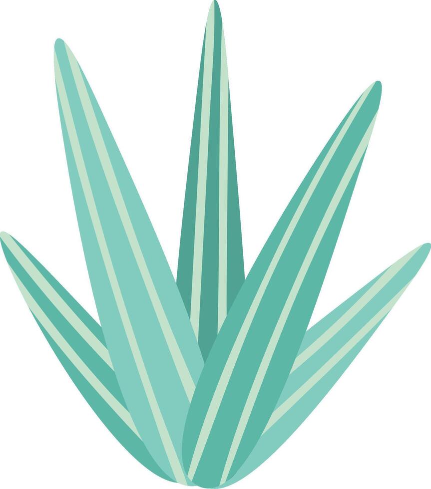 Stylized succulent plant featuring long, pointed, striped leaves in a symmetrical arrangement, creating a visually appealing design with a touch of modern aesthetics vector