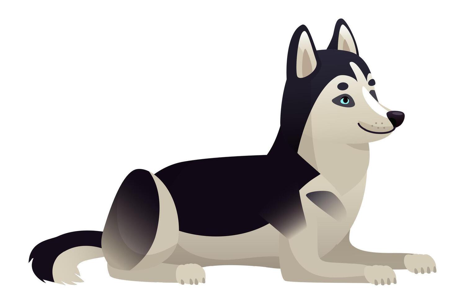 Cartoon illustration featuring a Siberian Husky dog with striking black and white fur, lying down and gazing to the right, set against a clean white background vector