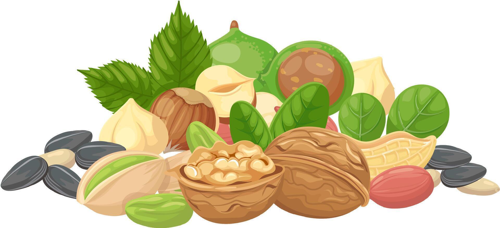 Offering a vibrant assortment of nuts and seeds, featuring walnuts, hazelnuts, pistachios, and more, creating a colorful and nutritious mix that supports a balanced diet vector