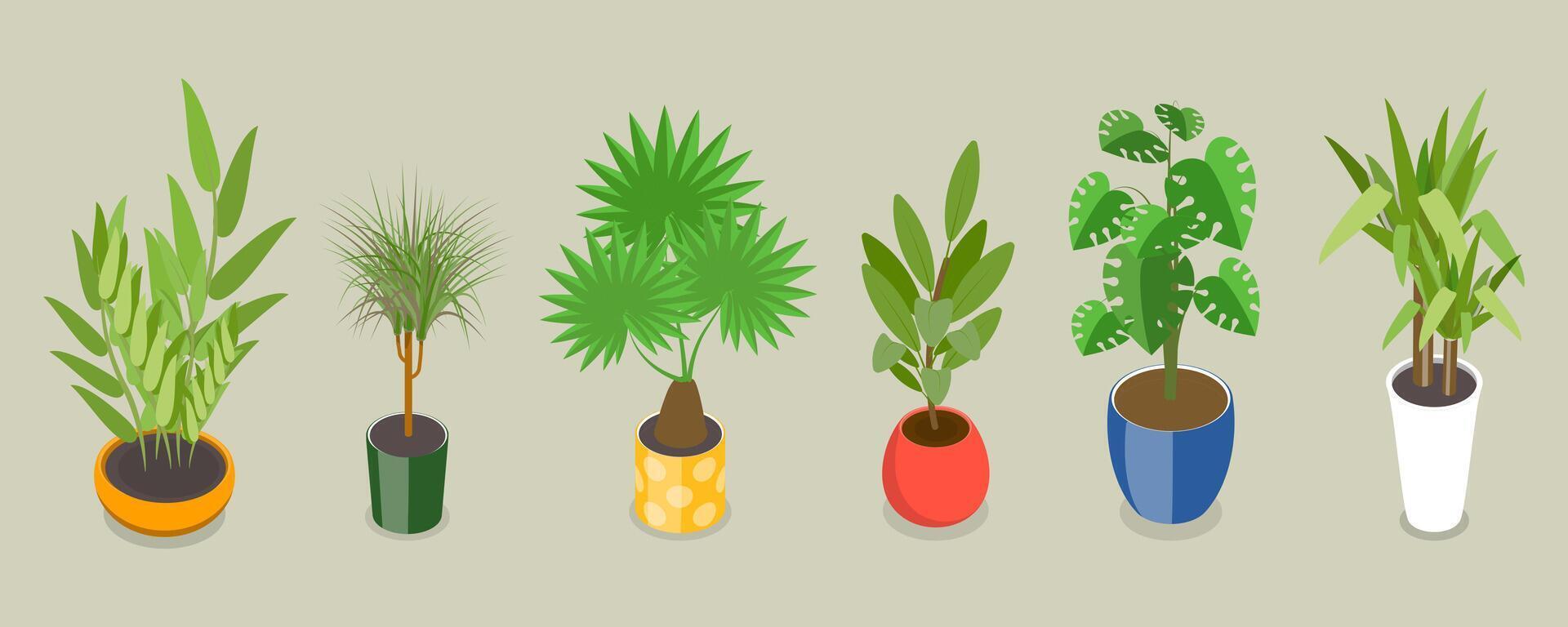 3D Isometric Flat Set of Houseplants, Different Indoor Plants vector