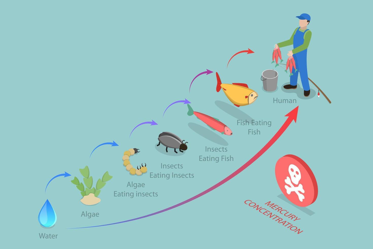 3D Isometric Flat Conceptual Illustration of Biomagnification, Educational Outline Diagram vector