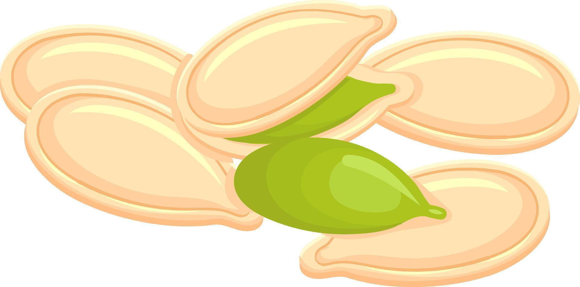 Nutritious pumpkin seed being revealed from its protective shell, showcasing its vibrant green color and surrounded by several other pepitas vector